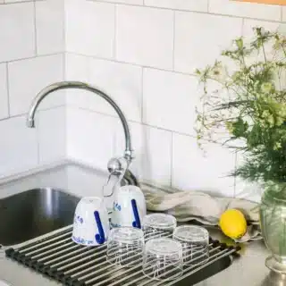 Dina diskställ rullbart rostfritt stål